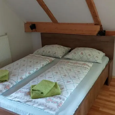 Vihar Apartmaji Apartment Bohinj