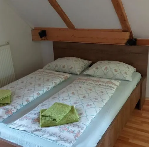 Vihar Apartmaji アパート ボーヒニ